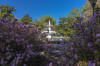 Forsyth Park